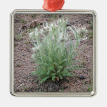 Mountain thistle ornament