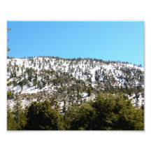 Mountain Top Photo Print