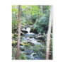 mountain waterfall over the rocks #71 post cards