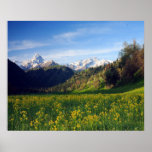 Mountains and Flowers Print