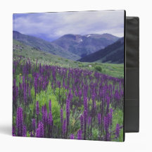 Mountains and wildflowers in alpine meadow, 2 binder