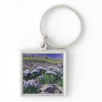 Mountains and wildflowers in alpine meadow,