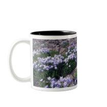 Mountains and wildflowers in alpine meadow, mugs