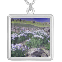 Mountains and wildflowers in alpine meadow,