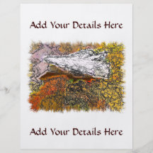 MOUNTAINS CUSTOM FLYER