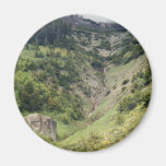 mountains in Idaho Fridge Magnet