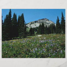 Mountains, meadow and trees, British Columbia, Can Flyer