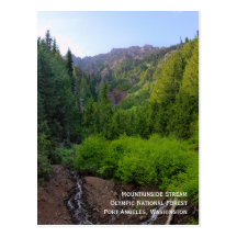 Mountainside Stream Postcard