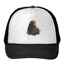 Mourning Cloak butterfly ~ hat