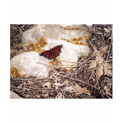 "Mourning Cloak" by Conrad Mieschke Tee Shirts by VisualArtsBrampton