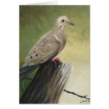 "Mourning Dove" Art Reproduction Notecards