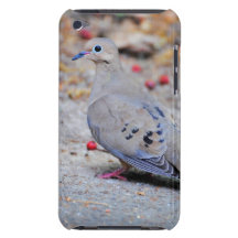 Mourning Dove iPod Case-Mate Case