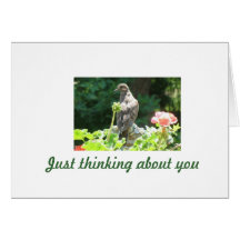 Mourning Dove Note Card