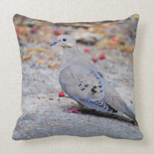 Mourning Dove Pillows