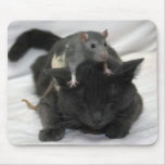 Mouse and cat mouse pad