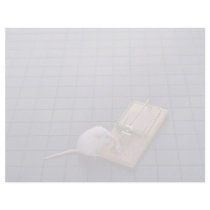 Mouse and trap letterhead design