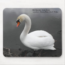 Mouse Mat : Mute Swan