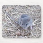 MOUSE MOUSE PAD