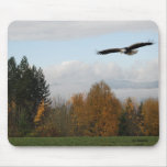 mouse pad15