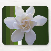 Mouse Pad - Gardenia on Stripes