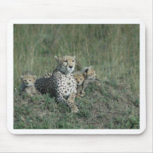 Mouse Pad - Wildlife