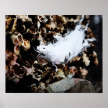 Mouse Posters