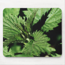 Mousemat Green Mint, Garden, Photo, Customizable Mouse Pad