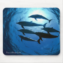Mousepad 14 - Dolphins