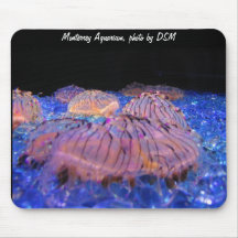Mousepad - aquarium .cool jellyfish. photo by DSM