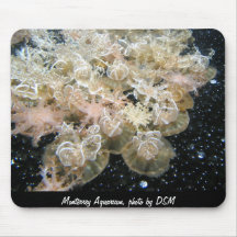 Mousepad. Aquarium photo by DSM