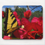 Mousepad - Butterlfly sucking on a flower mousepads