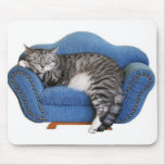 mousepad faisant une sieste de chaton tapis de souris