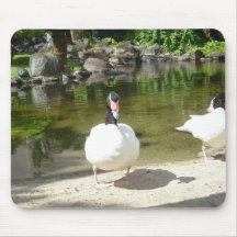 Mousepad from EdWeb Photo Album