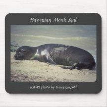 Mousepad / Hawaiian Monk Seal