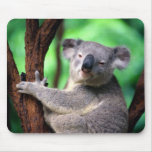 Mousepad-Koala Bear