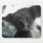 Mousepad Koala With Winged Ears Australia