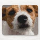 Mousepad mignon de visage de chien tapis de souris