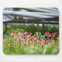 Mousepad - Mixed wildflowers in Millennium Park
