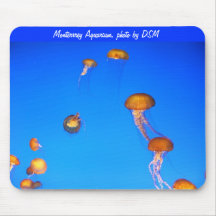 Mousepad of Jellyfish, photo by DSM