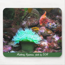 Mousepad, photo of anemone
