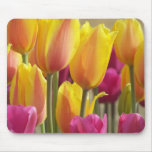 Mousepad-photographie des tuips tapis de souris