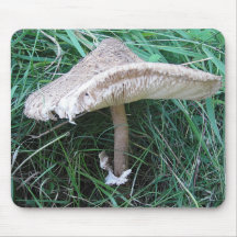 Mousepad Pilz mit hübschem Hut