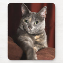 Mousey ici mousey tapis de souris