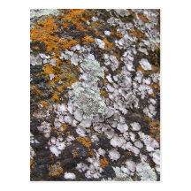 Mousse et granit carte postale
