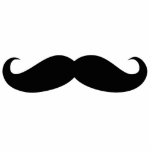 Moustache cutout disguise, funny moustache photo sculptures