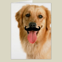 Moustache Dog Card cards