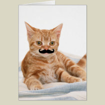Moustache Kitty Card cards