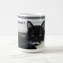Moustache Tuxedo Cat ( Seriously) Mug