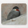 Moustached Bird Mousepad