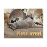 Move over!